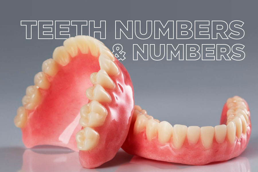 teeth-numbers-and-names-advanced-smiles-dentistry
