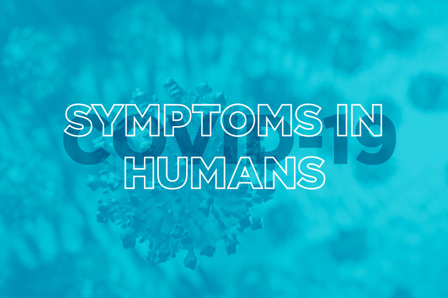 Coronavirus Symptoms in Humans